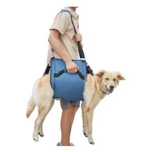 Dog Carry Sling, Support & Rehabilitation Lift Harness Senior Dog Arthritis, 2XL